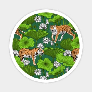 Tigers in the white lotus pond Magnet